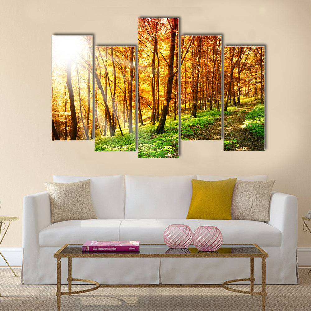 Sun in the autumn forest Multi panel canvas wall art