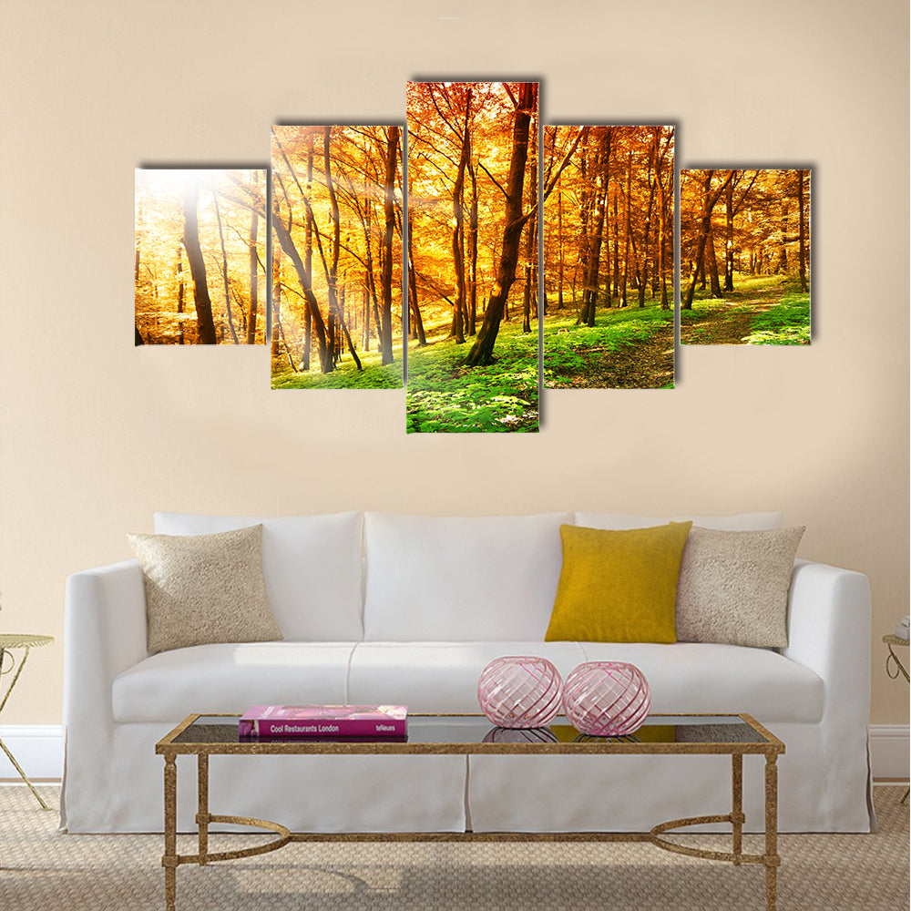 Sun in the autumn forest Multi panel canvas wall art