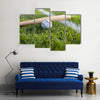 a baseball bat and ball on the grass near a field stripe Multi Panel Canvas Wall Art