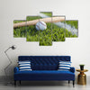 a baseball bat and ball on the grass near a field stripe Multi Panel Canvas Wall Art