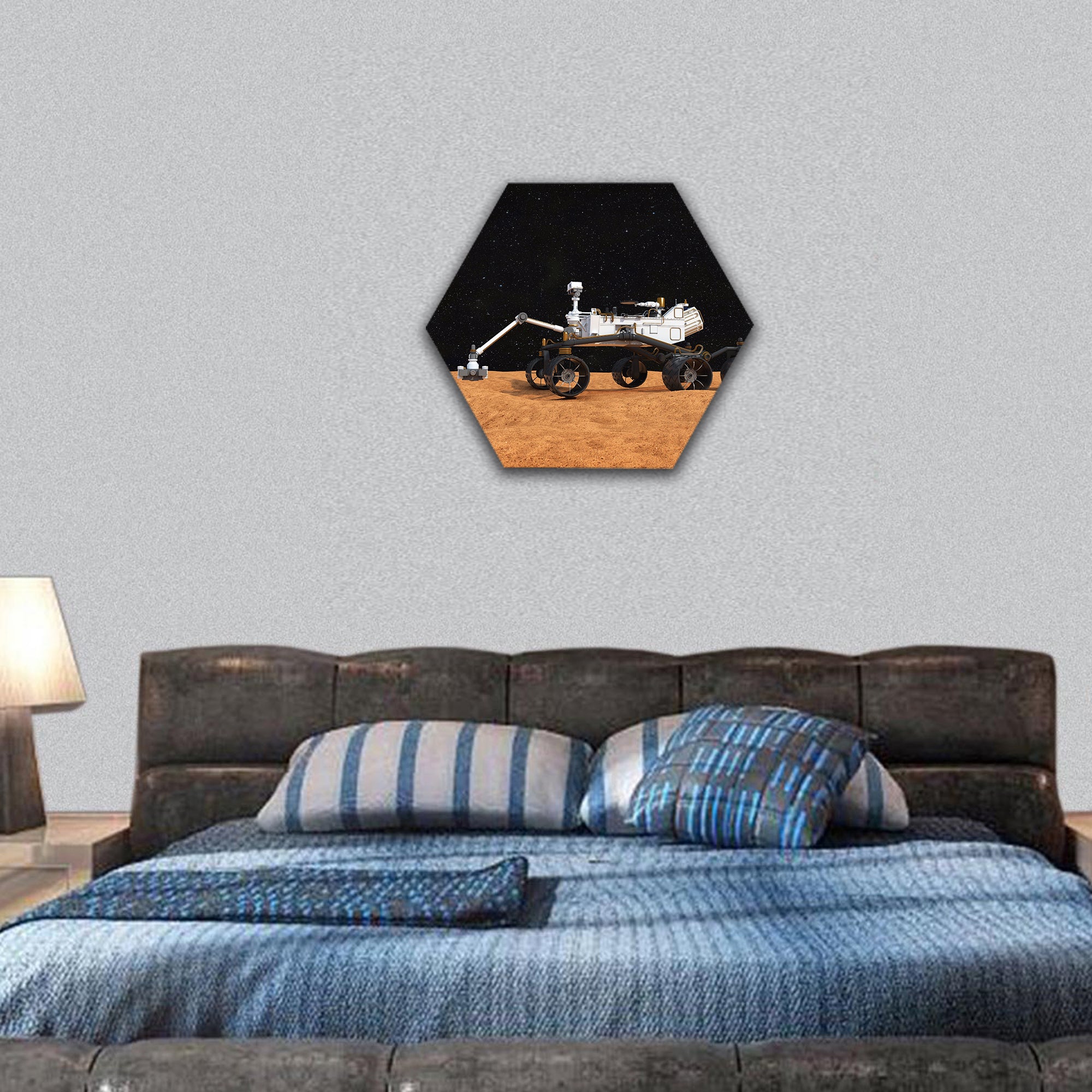 NASA Curiosity Mars rover hexagonal canvas wall art