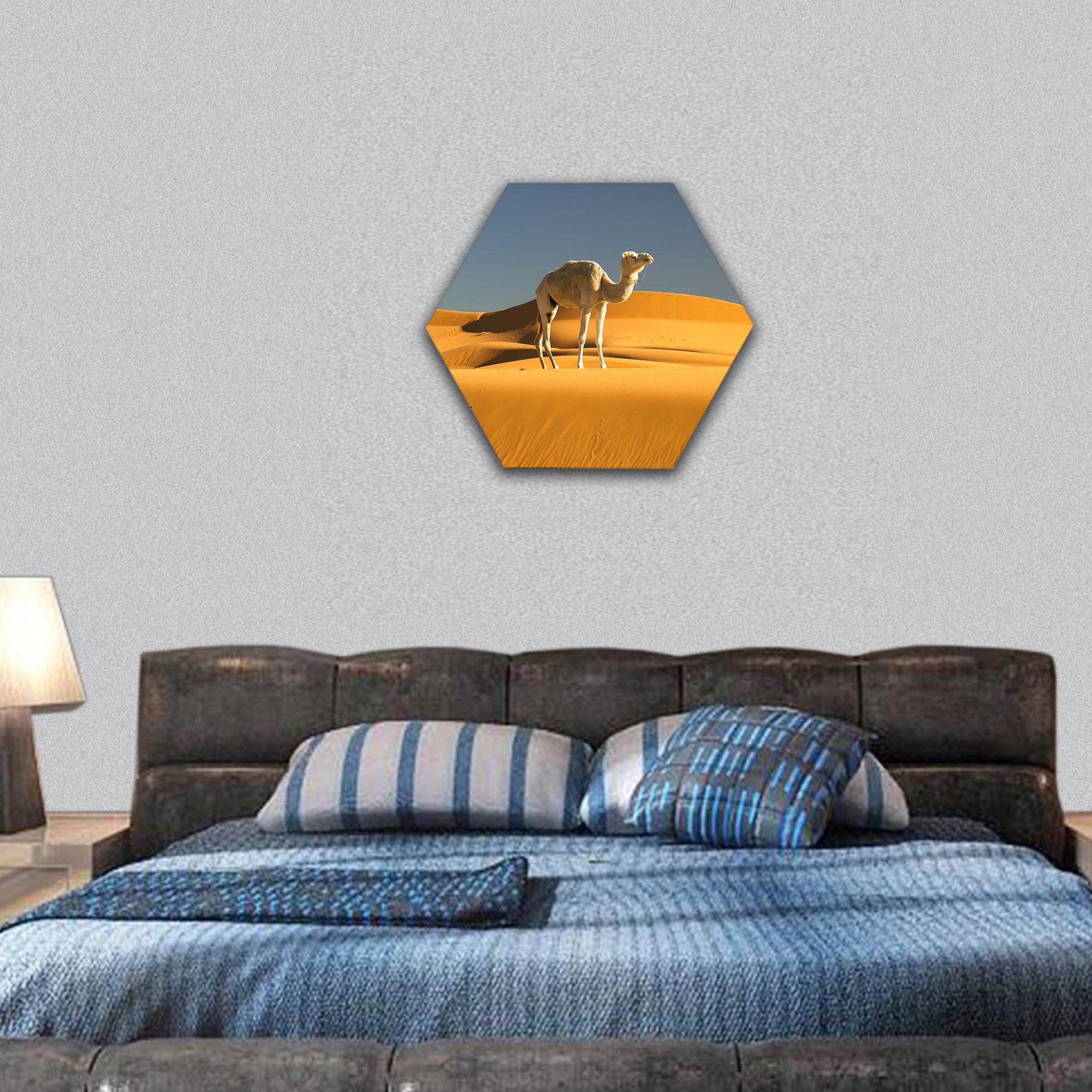 Camel in the Sahara desert, Morocco hexagonal canvas wall art