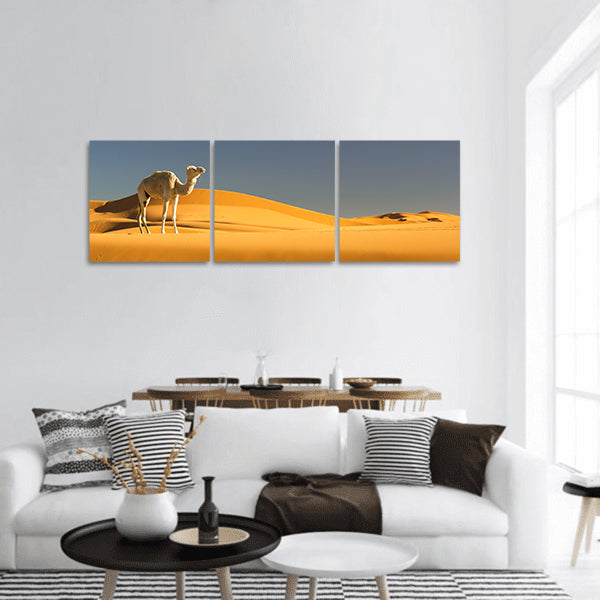 Camel in the Sahara desert ,Morocco panoramic canvas wall art