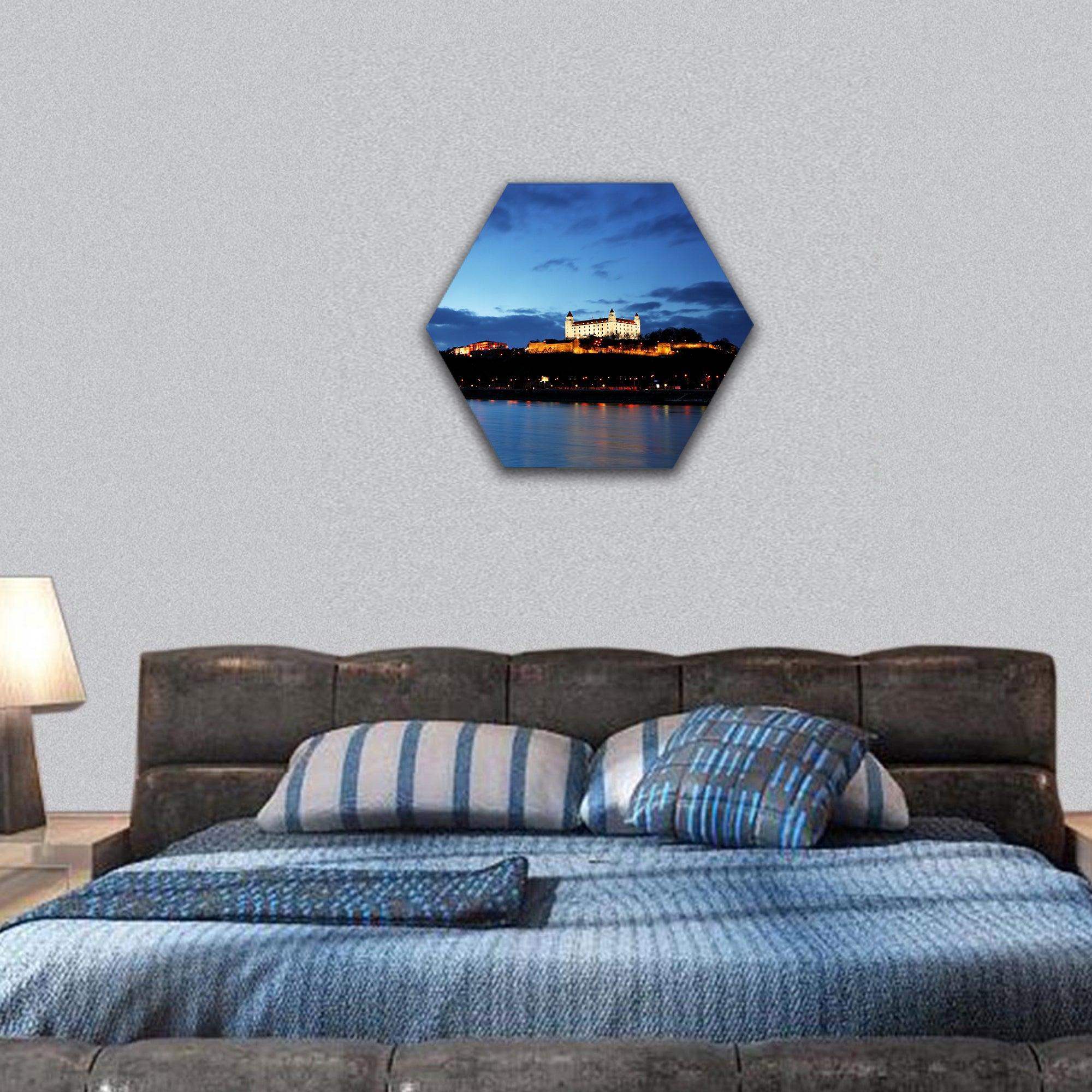 Bratislava castle and bridge Slovakia hexagonal canvas wall art