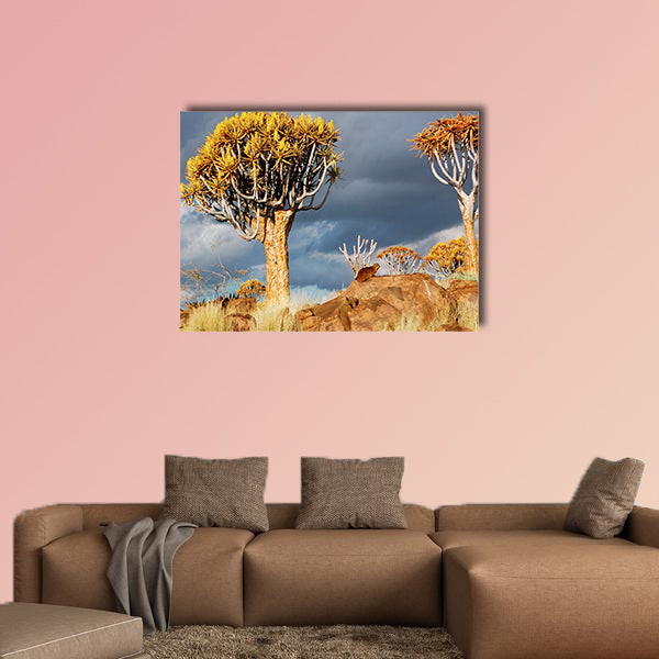 Quiver tree forest landscape Kokerbooms multi panel canvas wall art