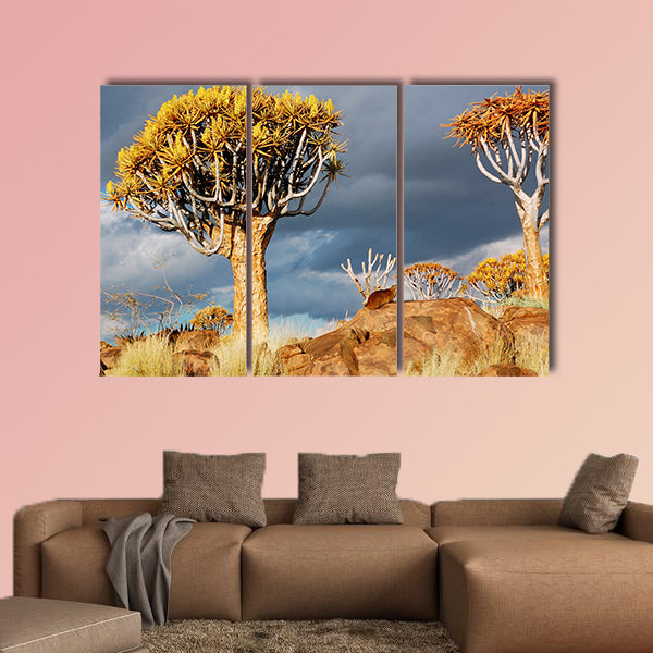 Quiver tree forest landscape Kokerbooms multi panel canvas wall art