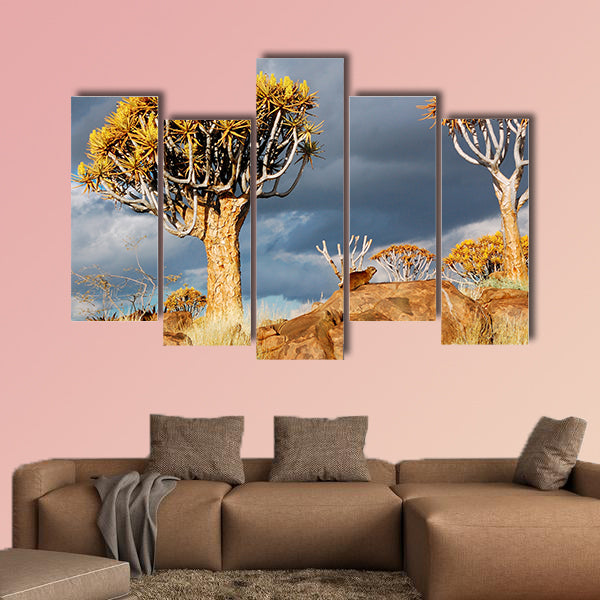 Quiver tree forest landscape Kokerbooms multi panel canvas wall art