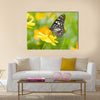 Butterfly on flower Multi Panel Canvas Wall Art