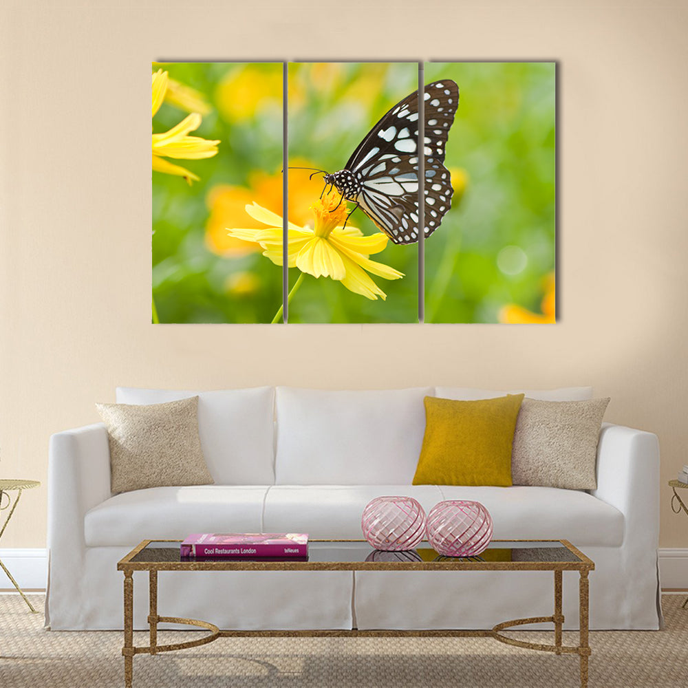Butterfly on flower Multi Panel Canvas Wall Art