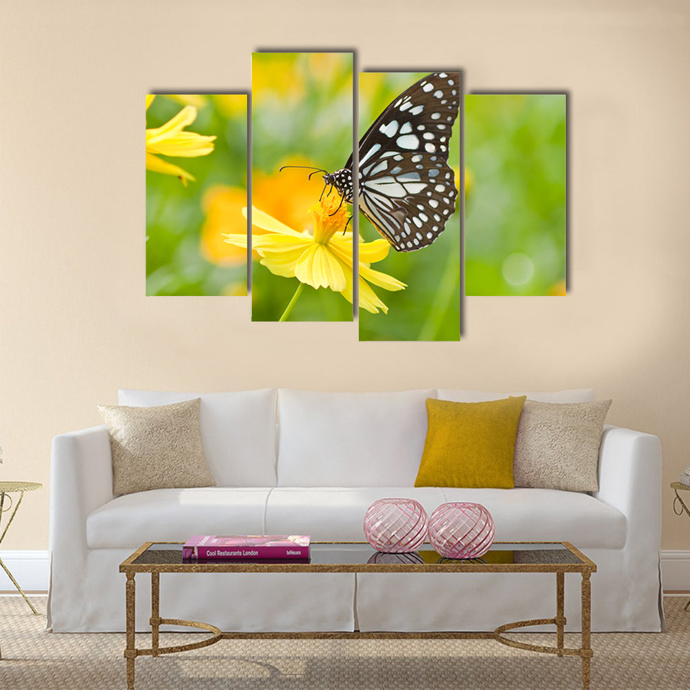 Butterfly on flower Multi Panel Canvas Wall Art