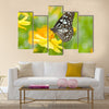 Butterfly on flower Multi Panel Canvas Wall Art