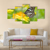 Butterfly on flower Multi Panel Canvas Wall Art