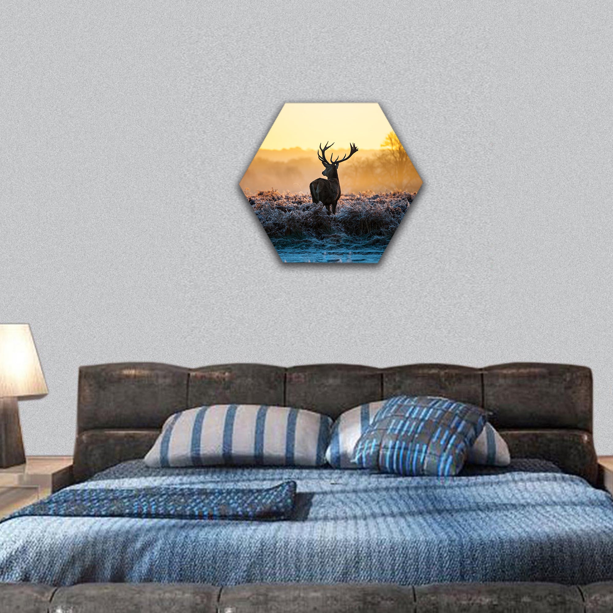 Red Deer in Morning Sun hexagonal canvas wall art