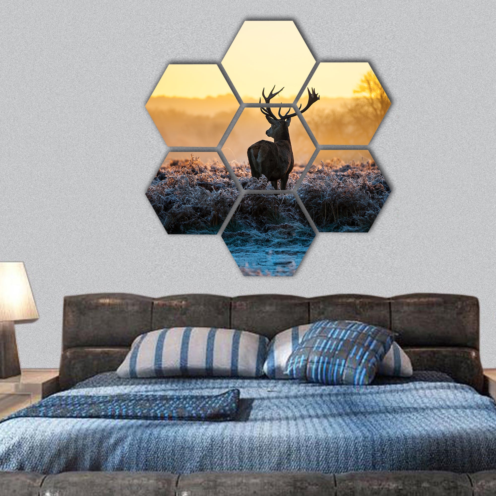 Red Deer in Morning Sun hexagonal canvas wall art