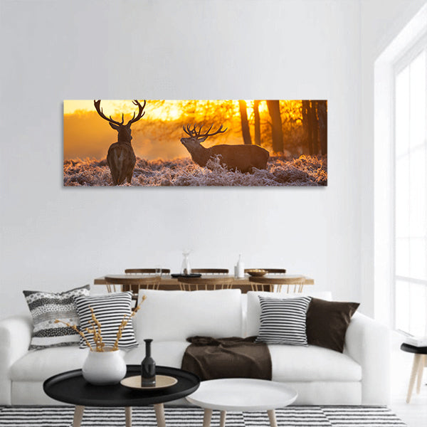 Red Deer in Morning Sun panoramic canvas wall art