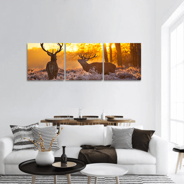 Red Deer in Morning Sun panoramic canvas wall art