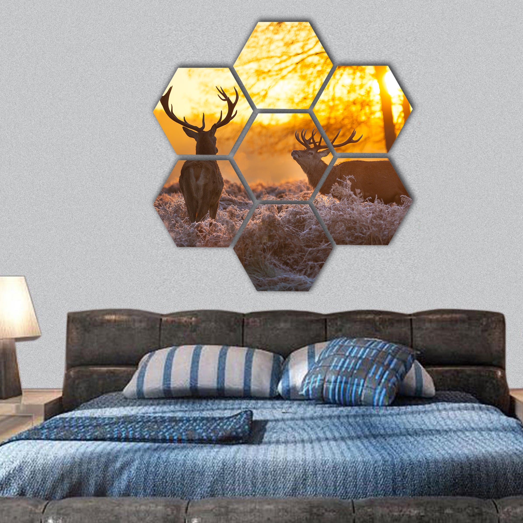Red Deer in Morning Sun hexagonal canvas wall art