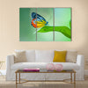 Butterfly Multi Panel Canvas Wall Art