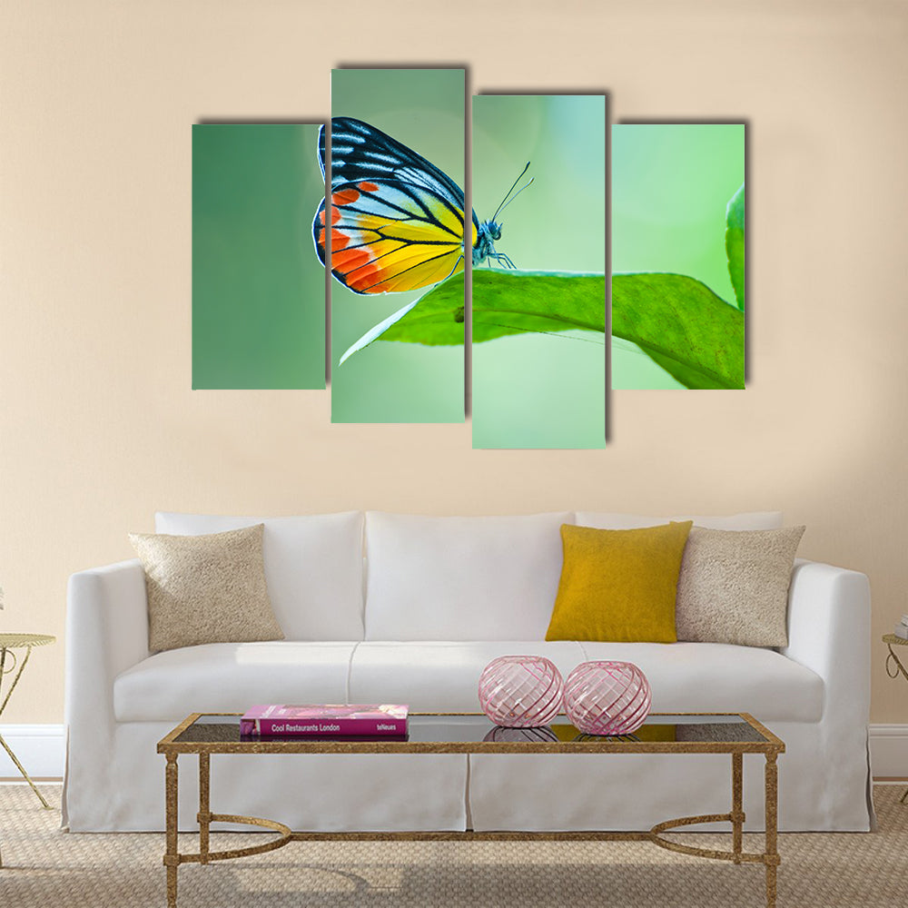 Butterfly Multi Panel Canvas Wall Art
