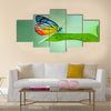 Butterfly Multi Panel Canvas Wall Art