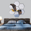 Eagle British Columbia Canada hexagonal canvas wall art