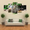 Two Rabbits Bunny In The Garden Multi Panel Canvas Wall Art