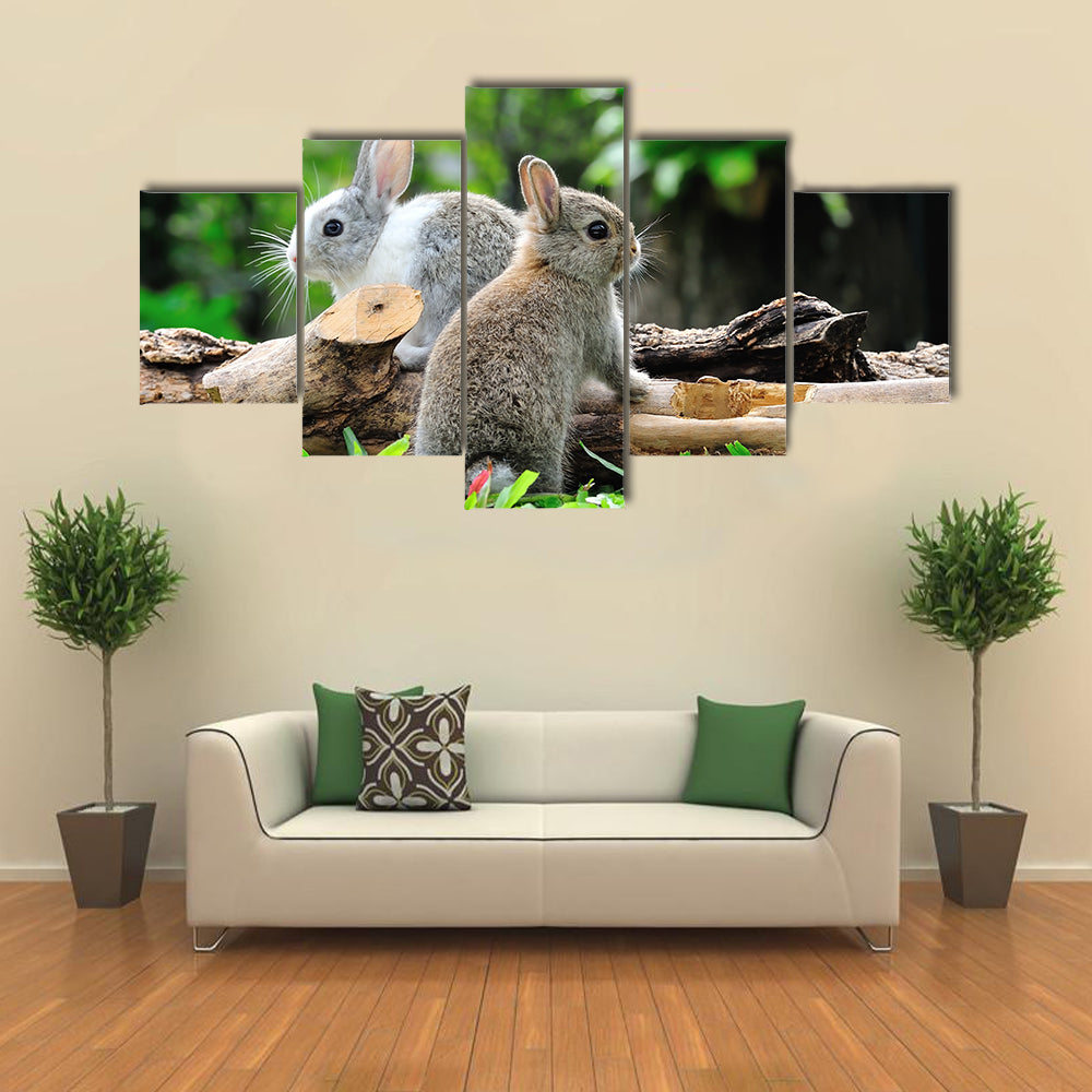 Two Rabbits Bunny In The Garden Multi Panel Canvas Wall Art