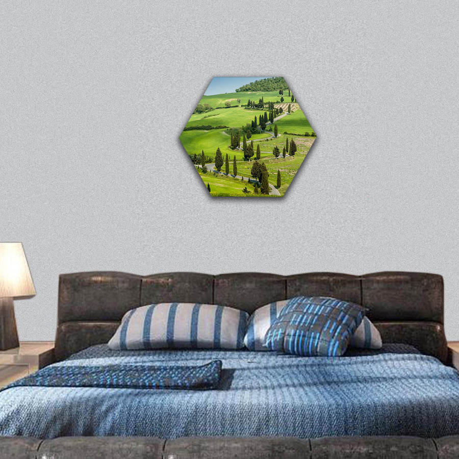 Road with curves and cypresses in Tuscany, Italy hexagonal canvas wall art
