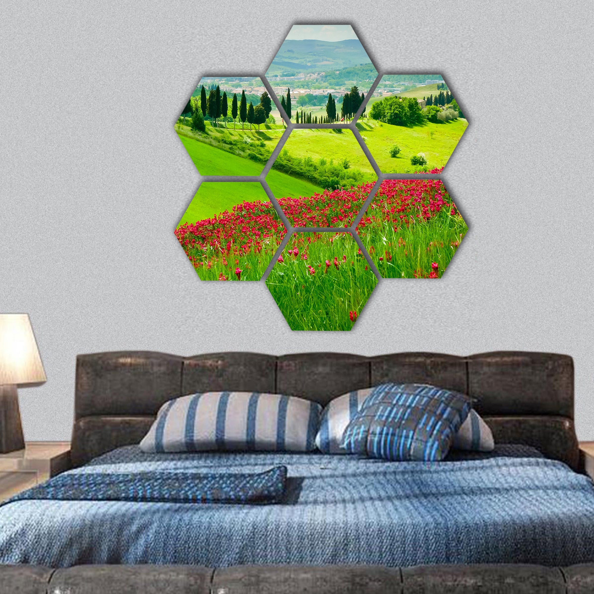 Hill covered by red flowers by cypresses Tuscany, Italy hexagonal canvas wall art