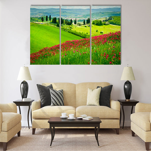 Hill covered by red flowers overlooking a road Multi Panel Canvas Wall Art