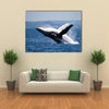 Humpback Whale Breaching Off Australian Coast Multi Panel Canvas Wall Art