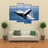 Humpback Whale Breaching Off Australian Coast Multi Panel Canvas Wall Art