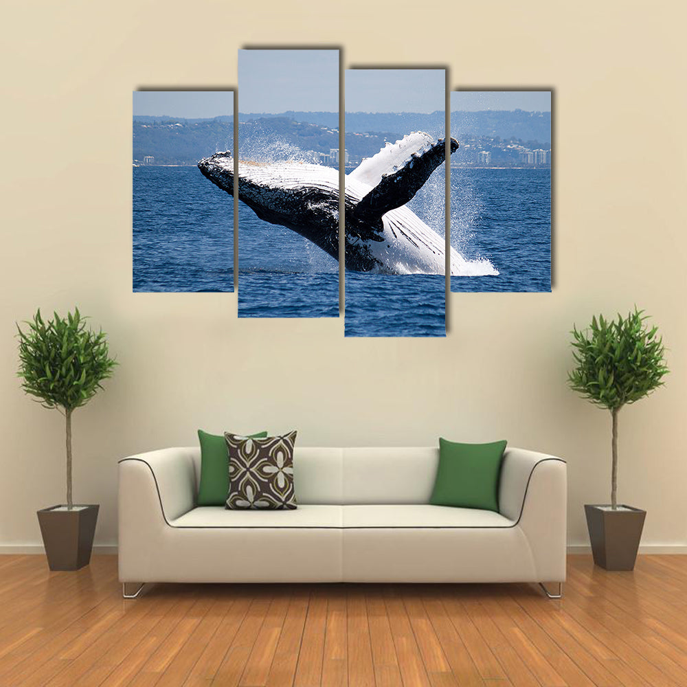 Humpback Whale Breaching Off Australian Coast Multi Panel Canvas Wall Art