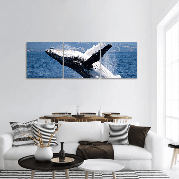 Humpback whale breaching off Australia coast panoramic canvas wall art