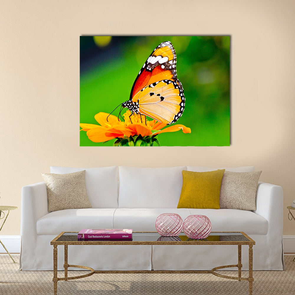 Beautiful butterfly on flower in public park Multi Panel Canvas Wall Art