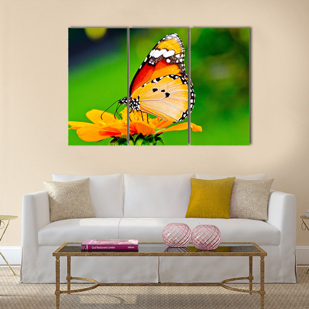 Beautiful butterfly on flower in public park Multi Panel Canvas Wall Art
