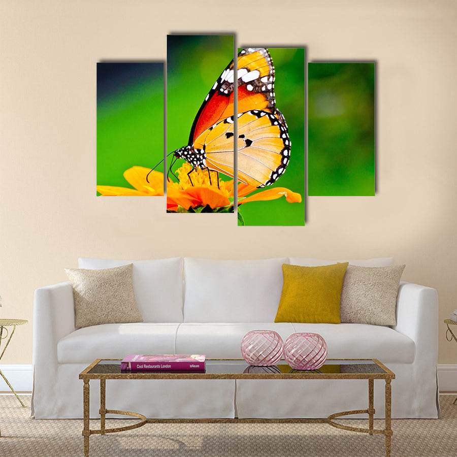 Beautiful butterfly on flower in public park Multi Panel Canvas Wall Art
