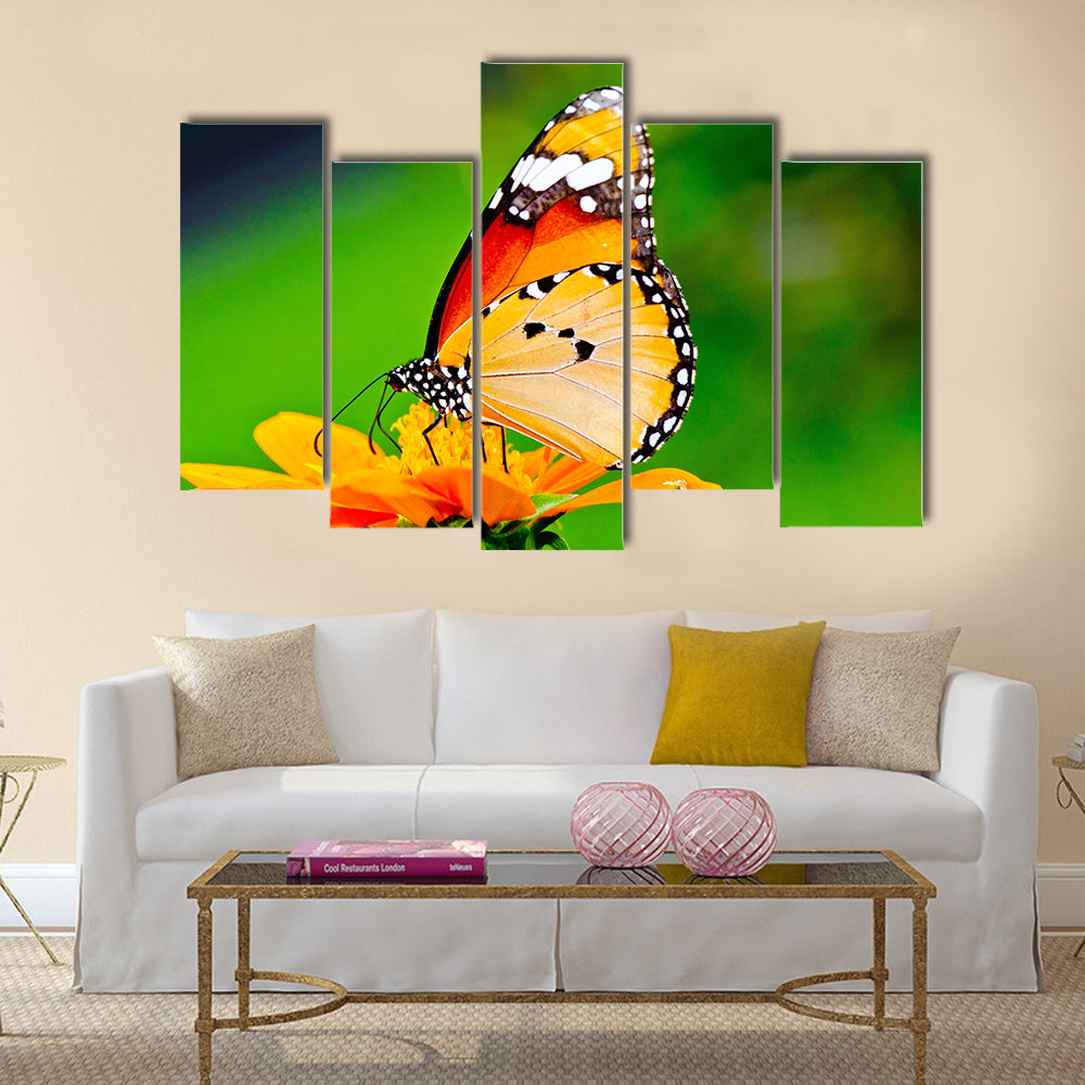 Beautiful butterfly on flower in public park Multi Panel Canvas Wall Art