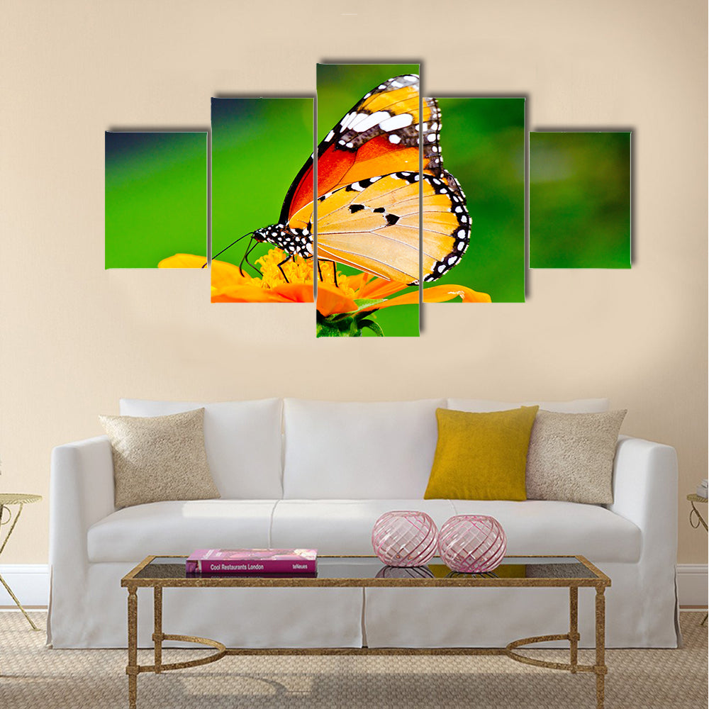 Beautiful butterfly on flower in public park Multi Panel Canvas Wall Art