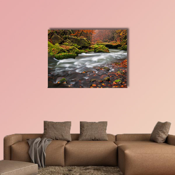 View of a beautiful autumn creek in Czech-Saxony Switzerland canvas wall art
