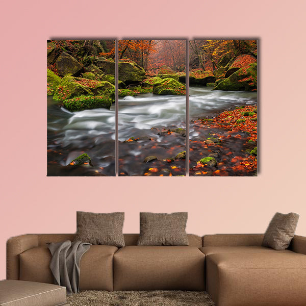 View of a beautiful autumn creek in Czech-Saxony Switzerland canvas wall art