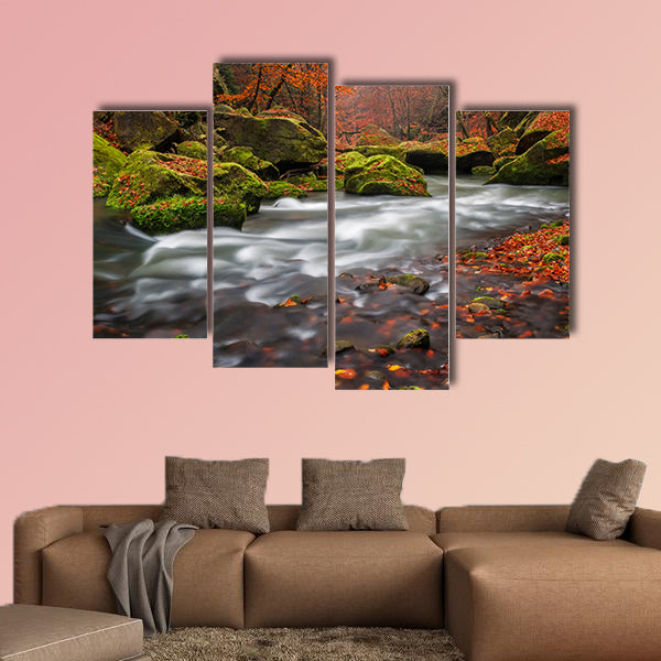 View of a beautiful autumn creek in Czech-Saxony Switzerland canvas wall art