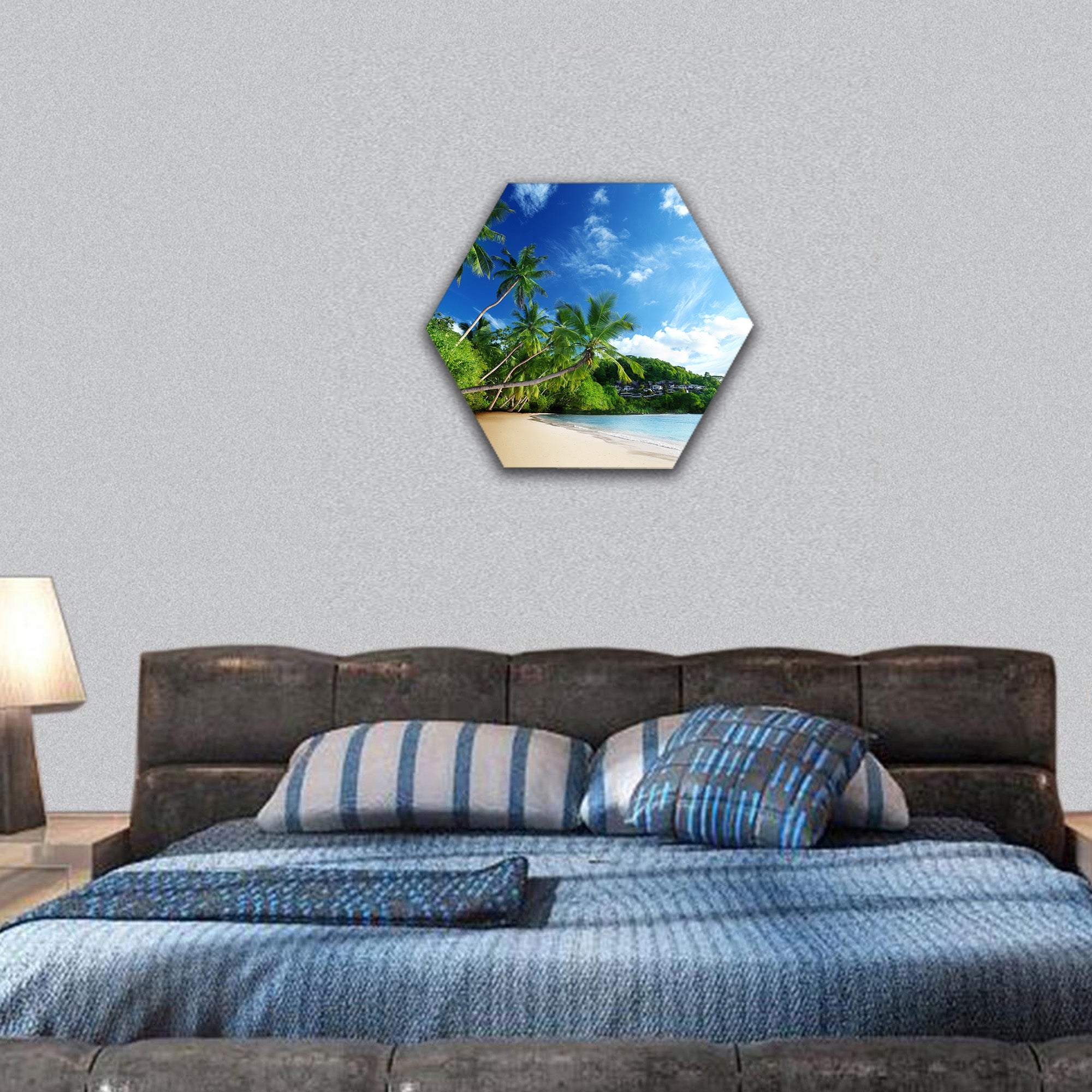 Beach Anse Takamaka of Mahe island hexagonal canvas wall art