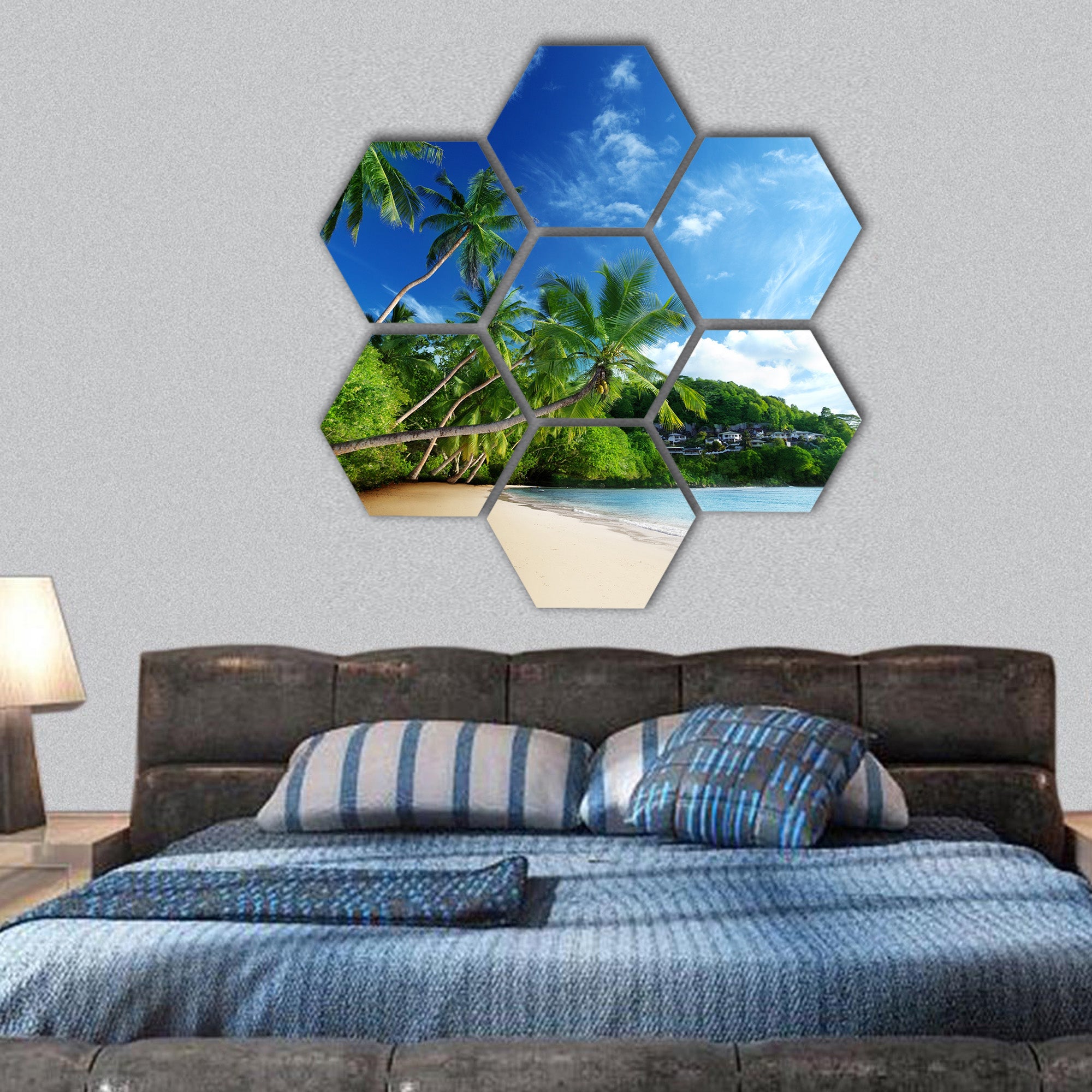 Beach Anse Takamaka of Mahe island hexagonal canvas wall art