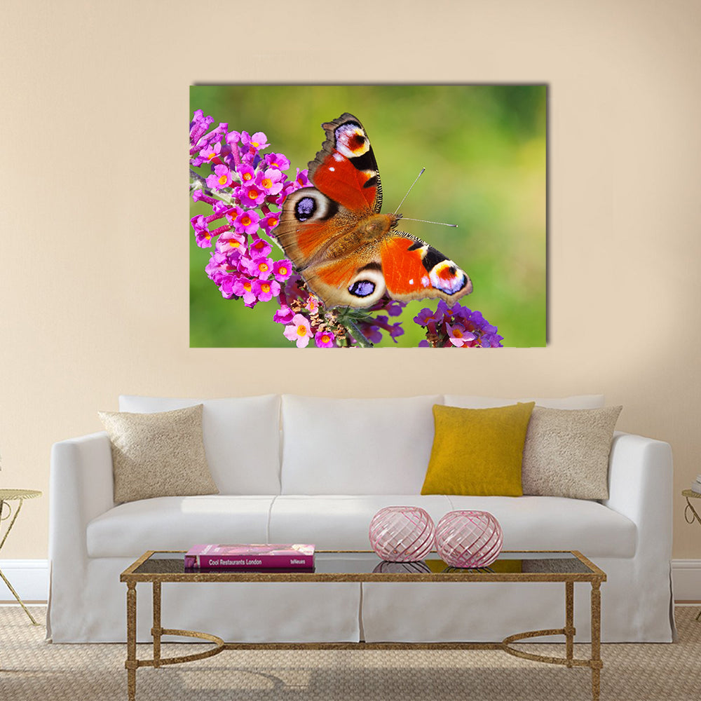 Summer Lilac with European peacock Multi Panel Canvas Wall Art