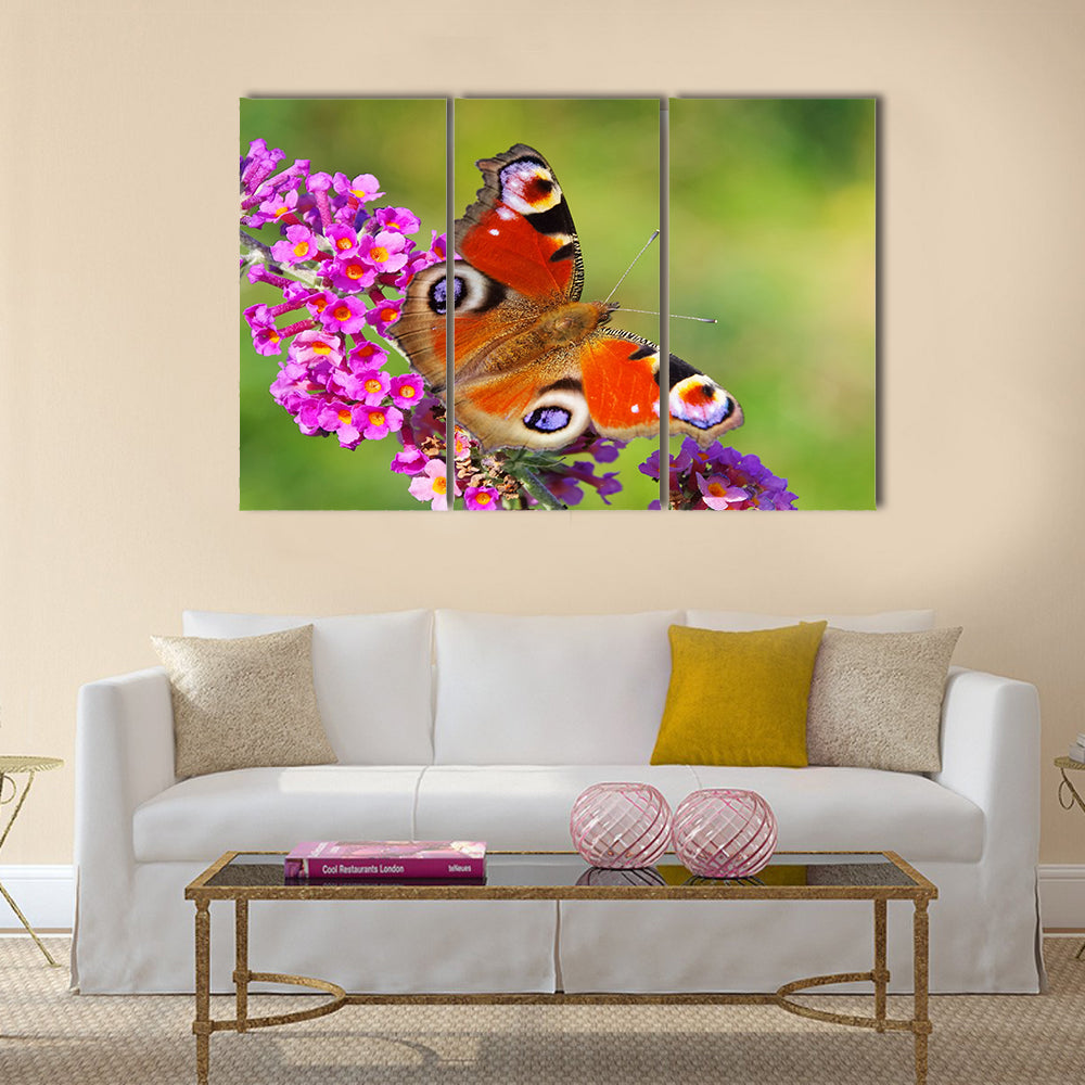 Summer Lilac with European peacock Multi Panel Canvas Wall Art