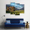 Landscape of a lush vineyard with trees against a backdrop of mountains, South Africa Multi panel canvas wall art