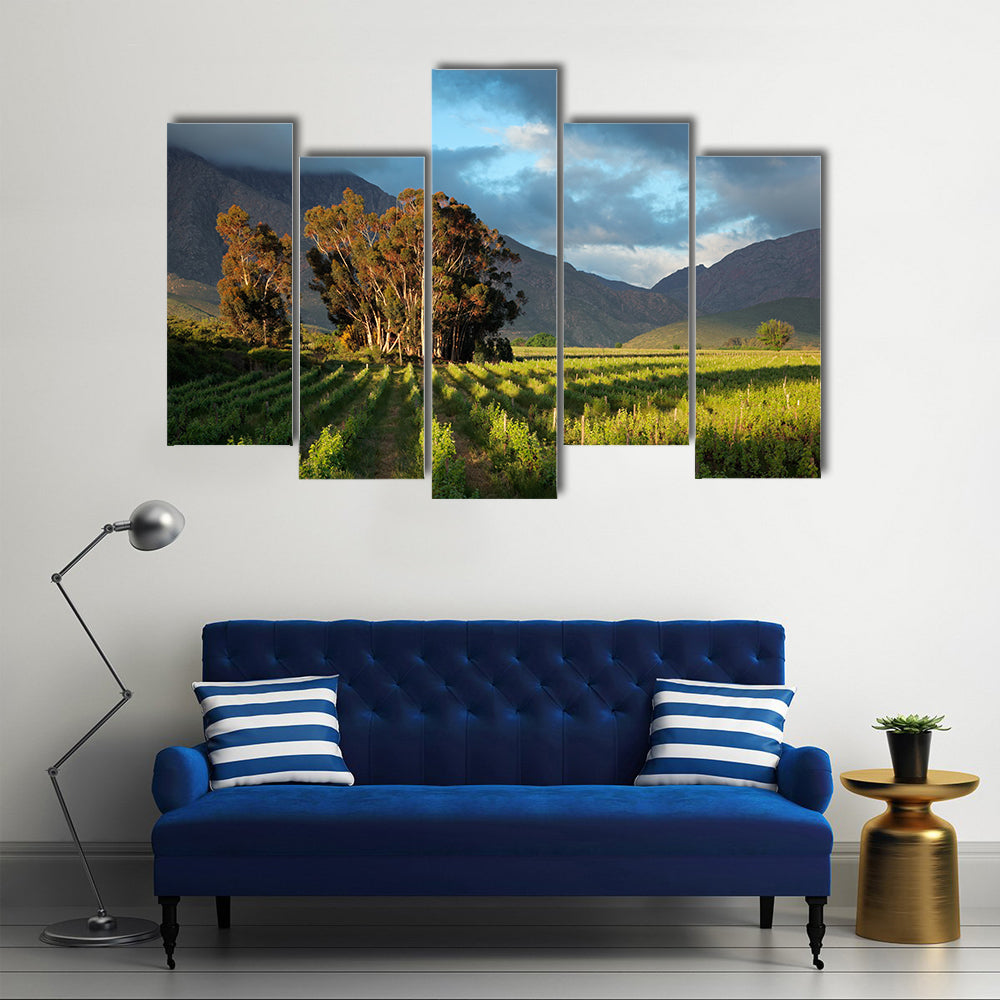 Landscape of a lush vineyard with trees against a backdrop of mountains, South Africa Multi panel canvas wall art