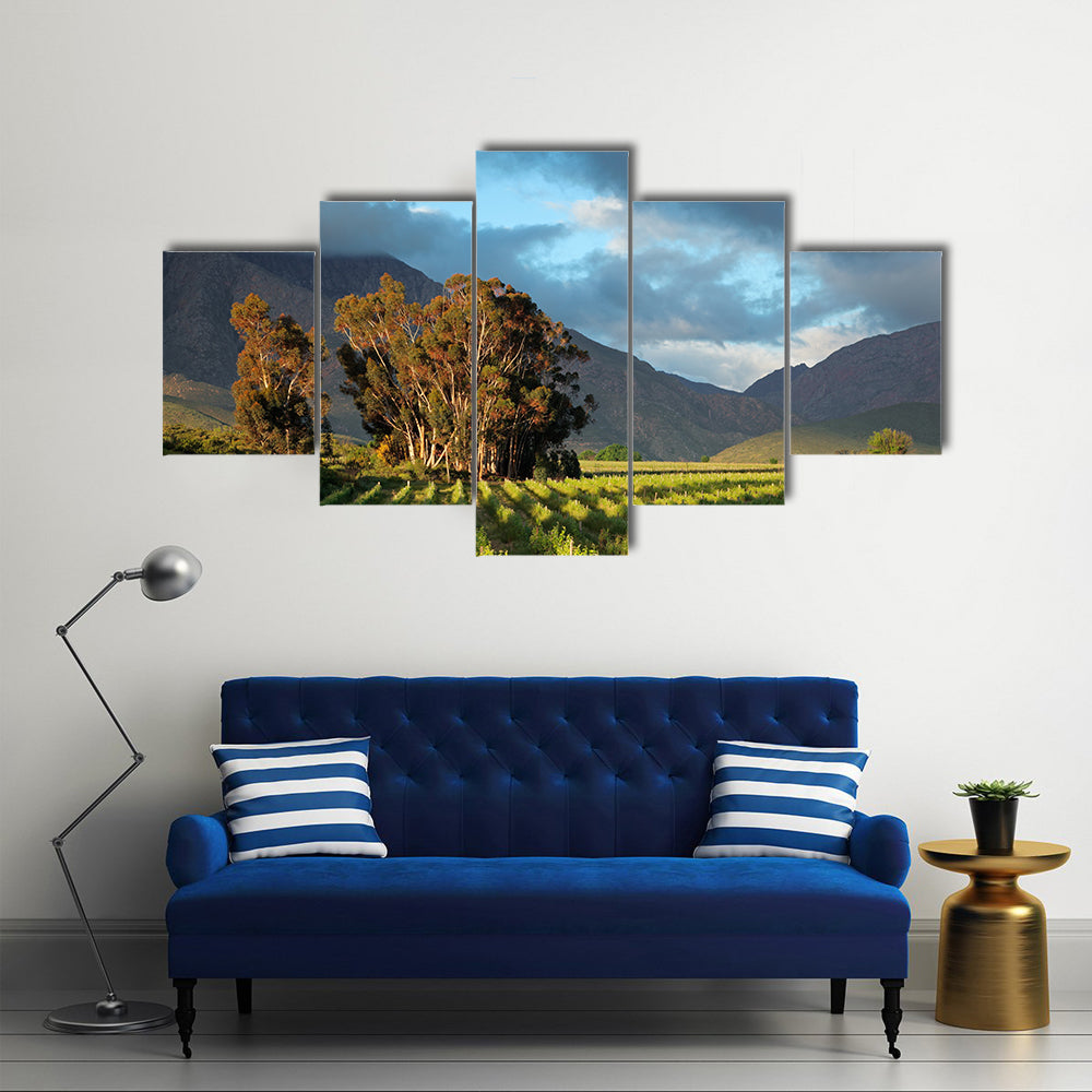 Landscape of a lush vineyard with trees against a backdrop of mountains, South Africa Multi panel canvas wall art