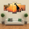 Silhouette Of Giraffe With Reflection In Water Multi Panel Canvas Wall Art